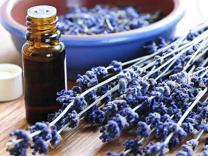 Bebeklerde Lavanta Yağı Kullanımı: Güvenlik ve Doğru Uygulama Yöntemleri