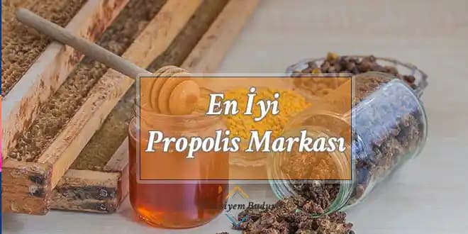 En İyi Propolis Markaları ve Doğal Güzellik İçin Doğru Kullanım Rehberi