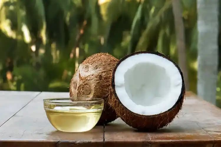 Hindistan Cevizi Yağı ile Doğal Saç Bakımı ve Saç Sağlığını Destekleme Rehberi