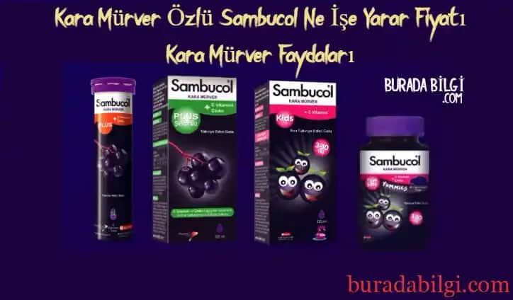 Kara Mürverin Güzellik ve Sağlık Üzerindeki Faydaları: Sambucol ve Doğal Kozmetik Kullanımı
