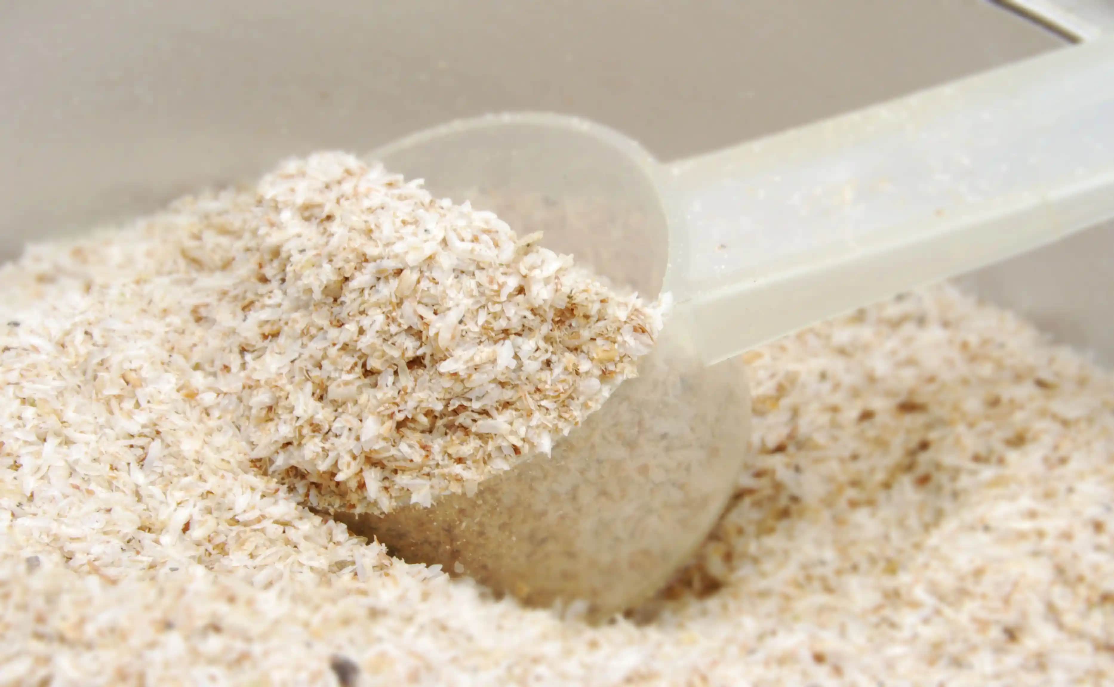 Kozmetik Sektöründe Psyllium: Doğal Bir Mucize Mi? Cilt Bakımında Potansiyel Faydaları ve Kullanım Yöntemleri