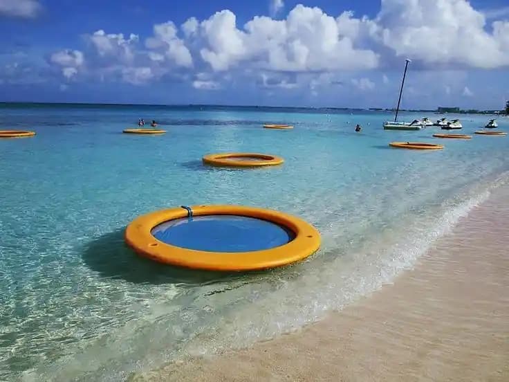 Kozmetik ve Sağlık Sektöründe Methyl Folat: Güzellik ve Sağlık İçin Yeni Trend