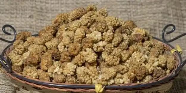 Kuru Dut Suyunun Kozmetik ve Sağlık Açısından Faydaları Nelerdir