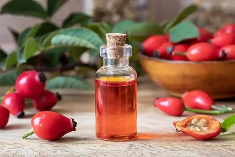 Kuşburnu Çekirdeği Yağının Cilt Sağlığına Faydaları ve Kullanım Önerileri