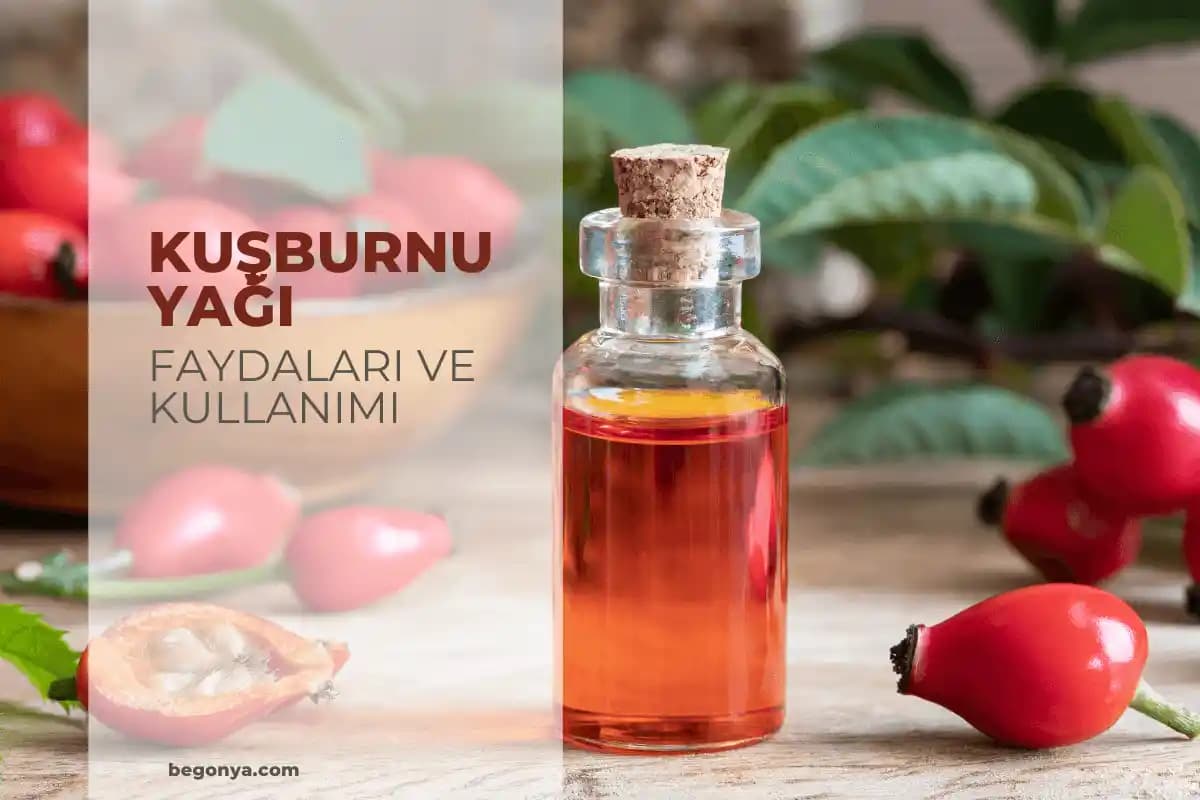 Kuşburnu Yağının Kozmetik Alanındaki Faydaları ve Kullanım İpuçları