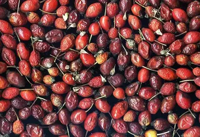 Kuşburnunun Cilde Faydaları ve Doğal Güzellik İçin Kullanım Yöntemleri