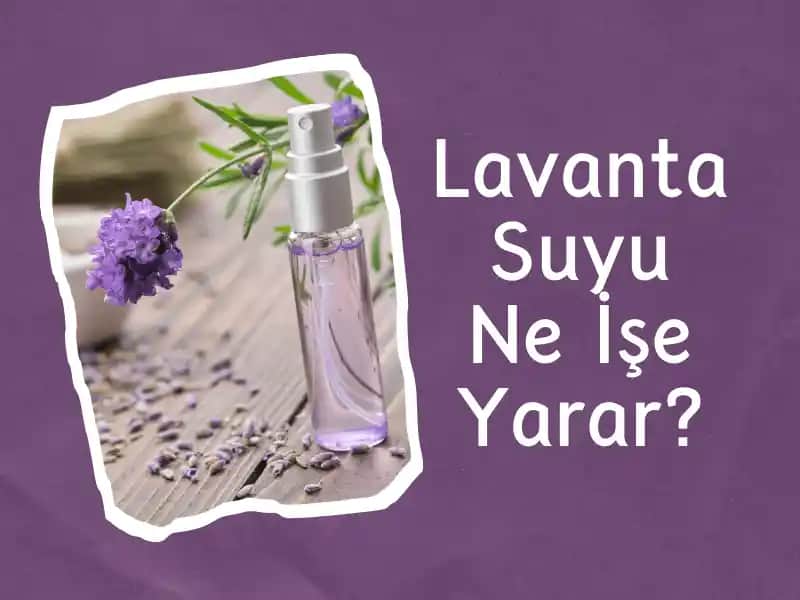Lavanta Suyu ile Doğal Güzellik ve Sağlık İçin Güçlü Bir Bakım Rehberi