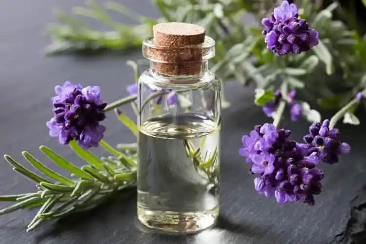 Lavanta Yağı Bebeklerde Güvenli Kullanım ve Faydaları Üzerine Detaylı Bilgi