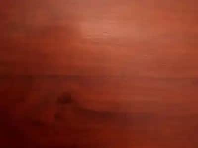 Mahagoni Nedir ve Kozmetikte Kullanım Alanları Hakkında Detaylı Bilgi