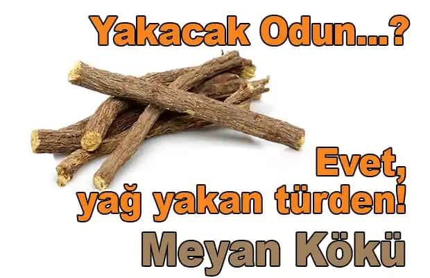 Meyan Kökü ve Kozmetik Kullanım Alanları: Doğal Güzellik İçin Etkili Bileşen