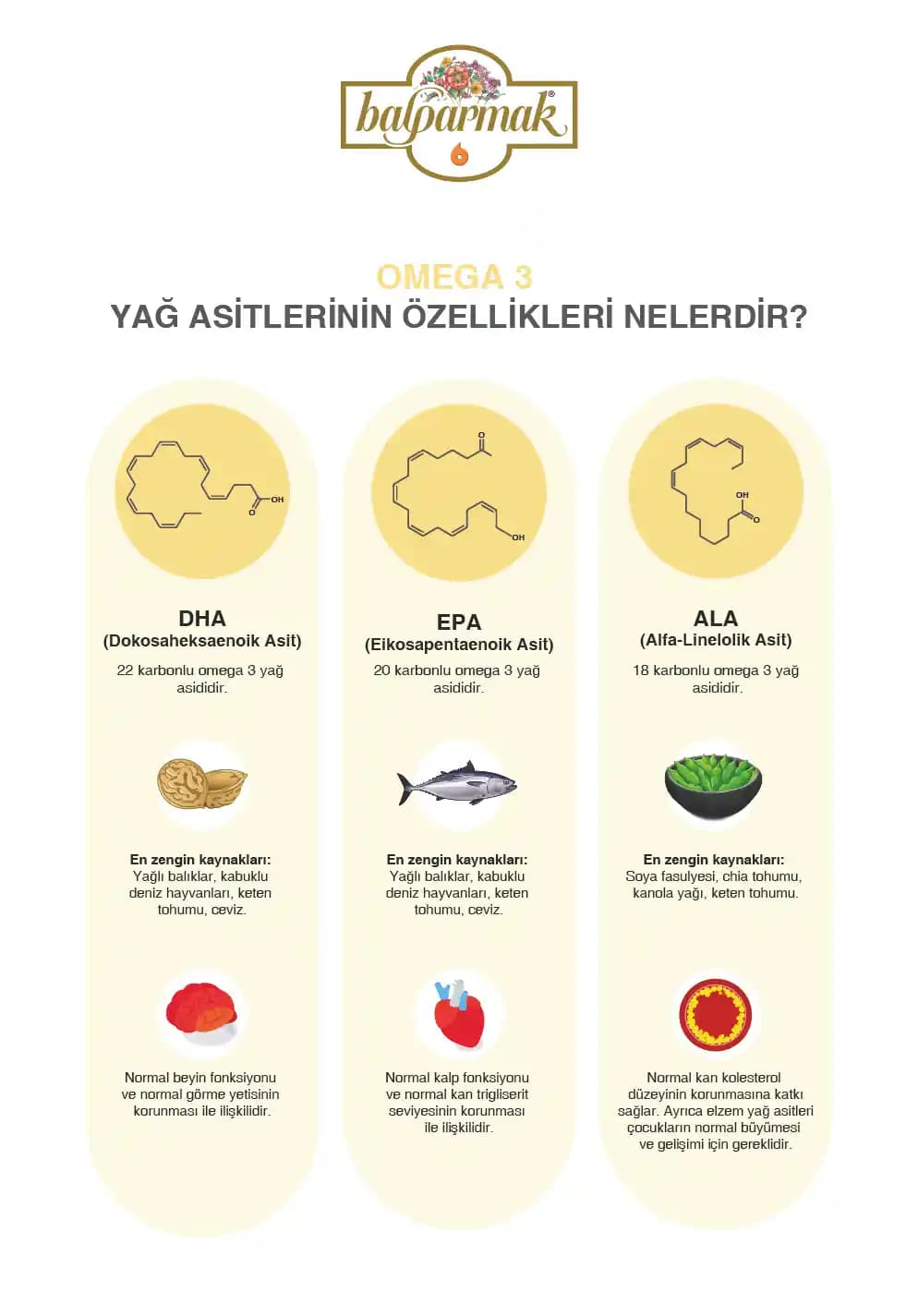 Meyve Asidi Nedir? Kozmetik ve Sağlık Alanında Kullanımının Detaylı İncelemesi
