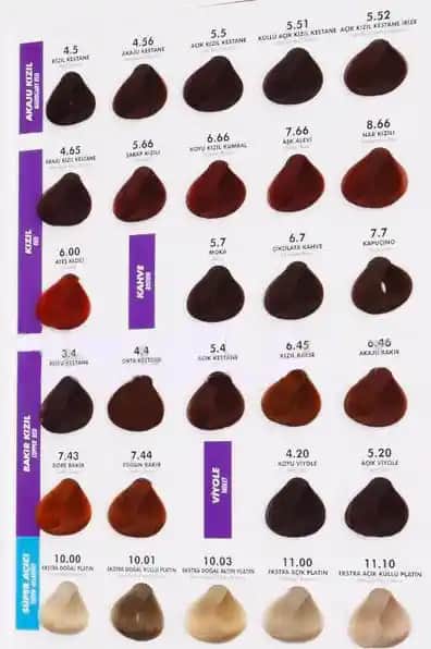 Neva Color Boya Kataloğu: Geniş Renk Yelpazesi ve Uygun Fiyatlı Kaliteli Saç Boyaları