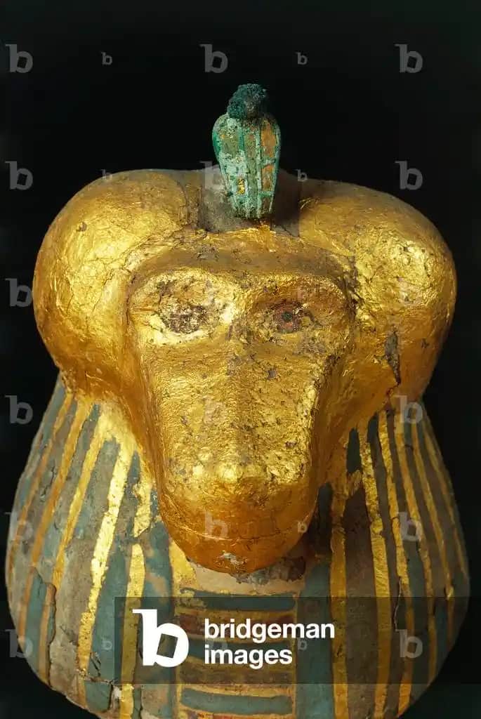 Ödemle Mücadelede Kozmetik Ürünler ve Sağlıklı Yaşam İpuçları