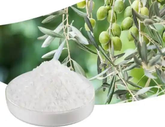 Oleanolik Asit Nedir ve Kozmetik Sektöründeki Yeri Hakkında Detaylı Bilgi