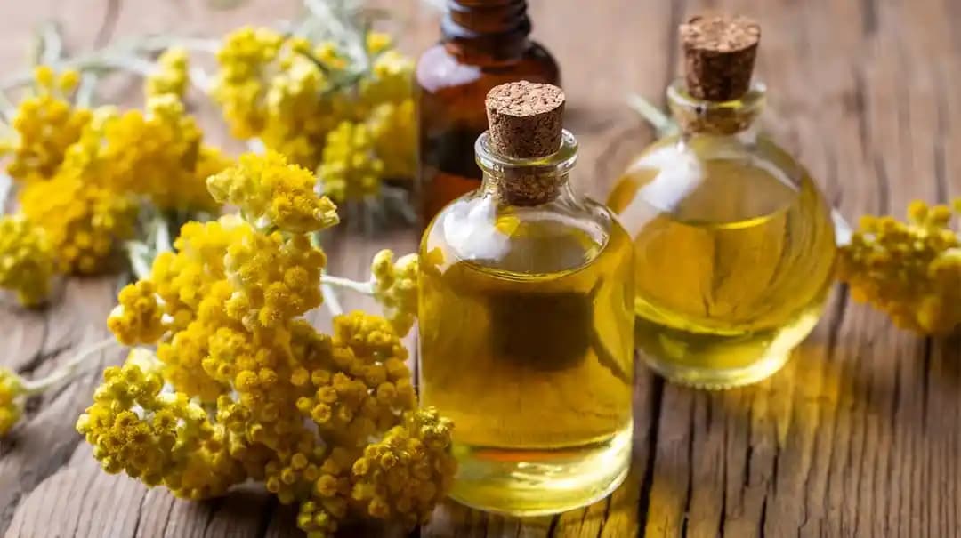 Ölmez Çiçek Yağı: Doğal Güzellik ve Cilt Sağlığı İçin Çok Yönlü Bir Kaynak