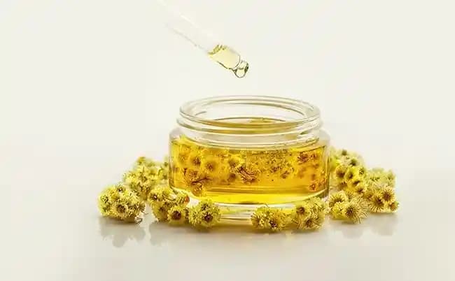 2025'te Ölmez Otu Yağı ile Cilt ve Saç Bakımında Doğal Devrim