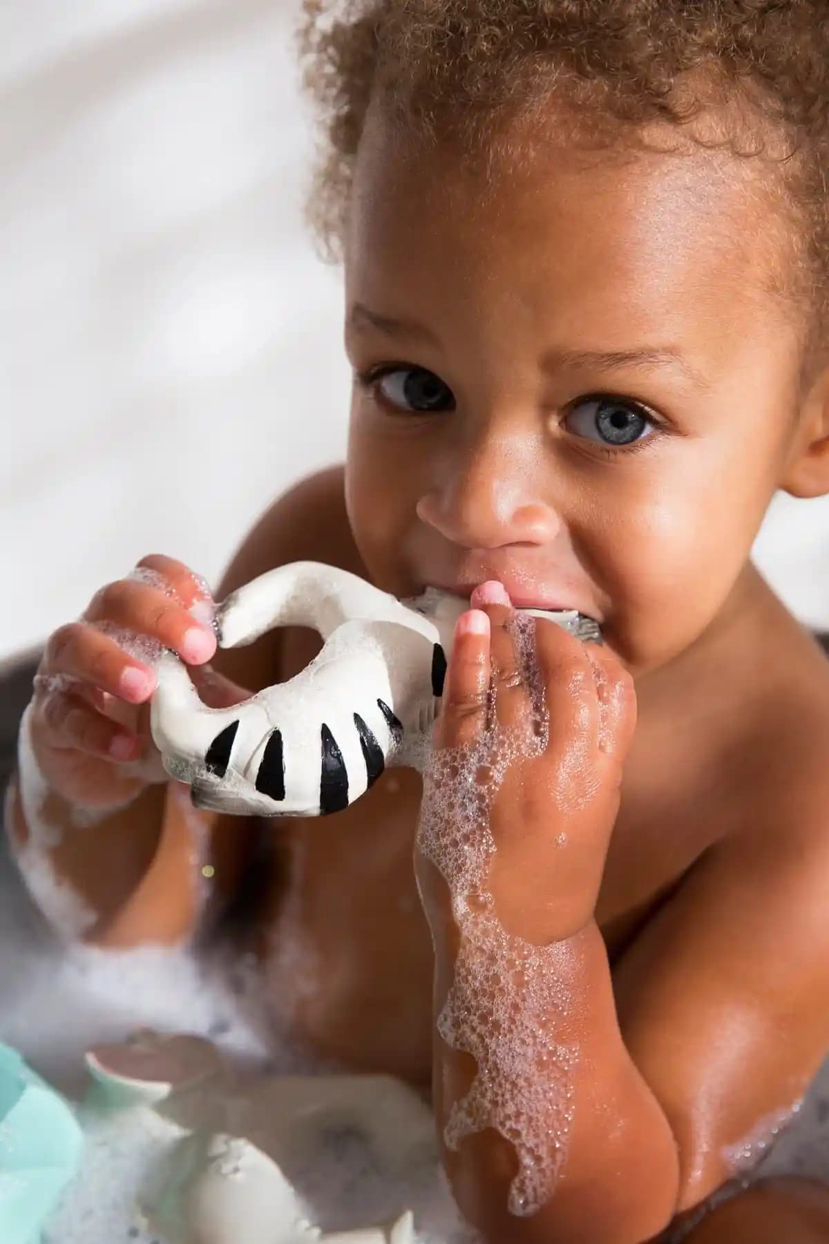 Organik Diş Kaşıyıcılar Bebeklerin Diş Çıkarma Sürecinde Güvenli ve Doğal Çözüm