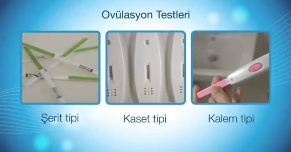 Ovulasyon Testleri Kadın Sağlığında Doğurganlık ve Gebelik Planlaması İçin Temel Bir Araç