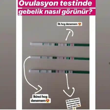 Ovulasyon Testleriyle Gebelik Şansını Artırma ve Kadın Sağlığında Yeni Yaklaşımlar