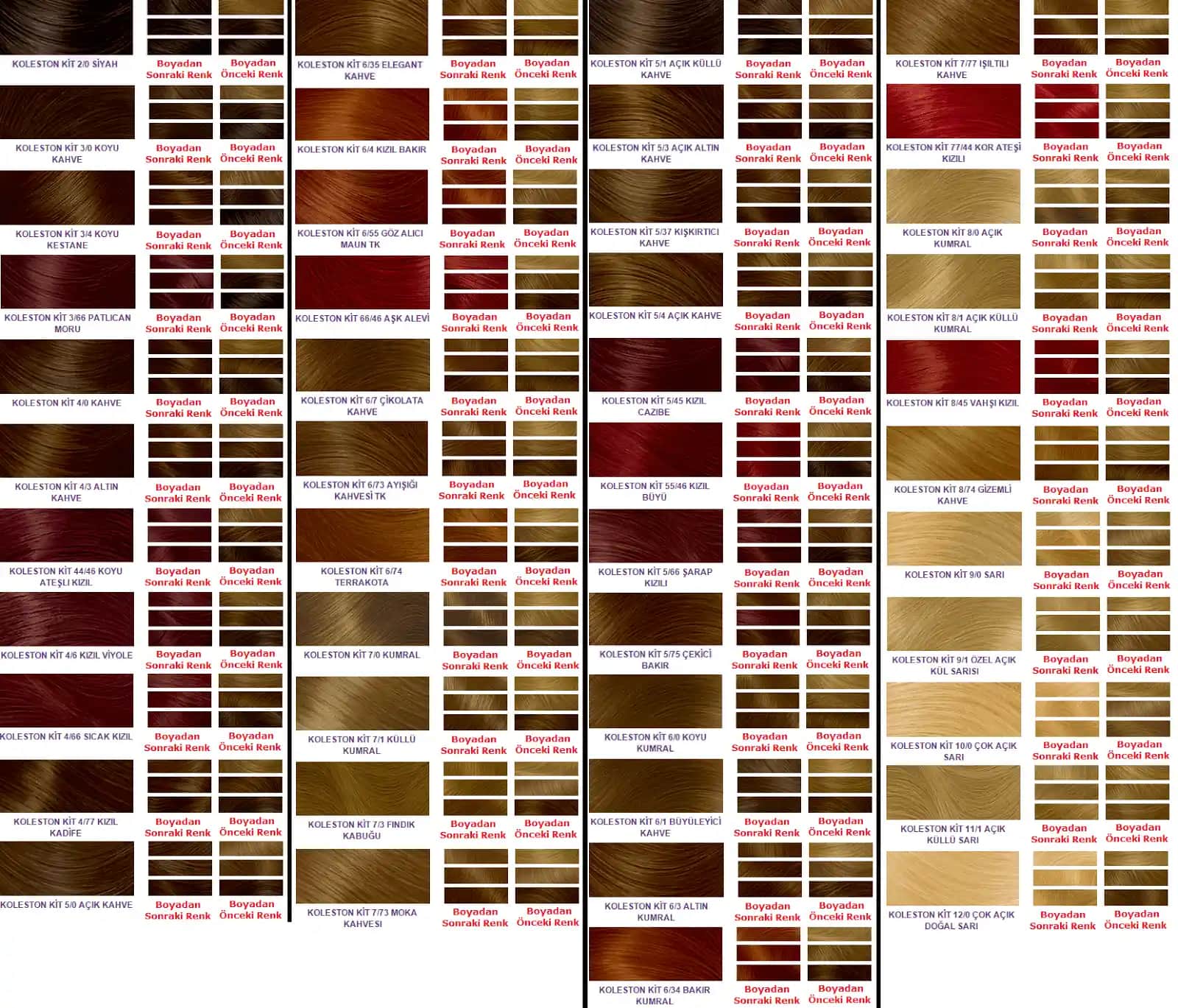 Palette Saç Renkleri Kataloğu: Modern ve Çekici Saç Tonlarıyla Kendinizi Yenileme Rehberi