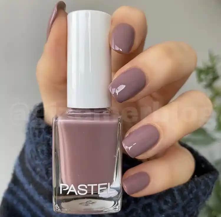 Pastel 311 Kozmetik Renkleri ve Ürünleri Hakkında Detaylı Bilgi