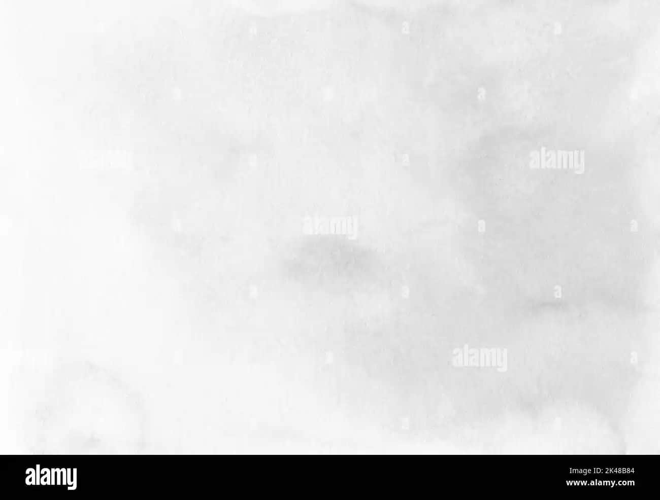 Pastel Monochrome Renk Paletleri Kozmetik Dünyasında Zarif ve Modern Trend