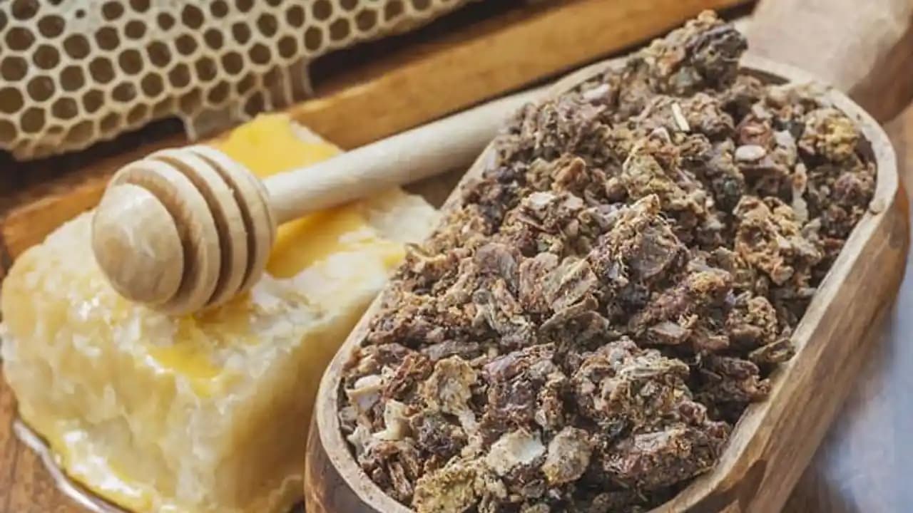 Propolis Kozmetik Ürünleri Nereden Satılır ve Nasıl Kullanılır Detaylı Rehber