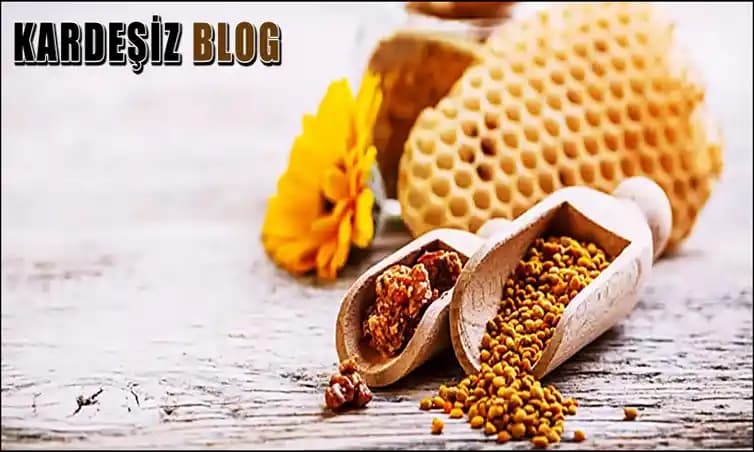 Propolis Kullanımı ve Faydaları: Kozmetik Alanında Dozaj ve Uygulama Rehberi