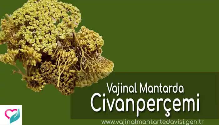 Pudra ve Mantar Enfeksiyonu: Doğru Kullanım ve Tedavi Yöntemleri