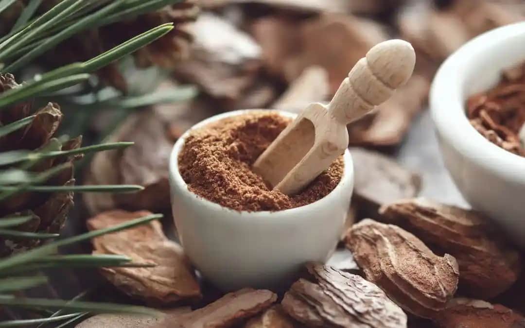 Pycnogenol Nedir? Kozmetik ve Sağlık Alanında Kullanım Fırsatları ve Faydaları