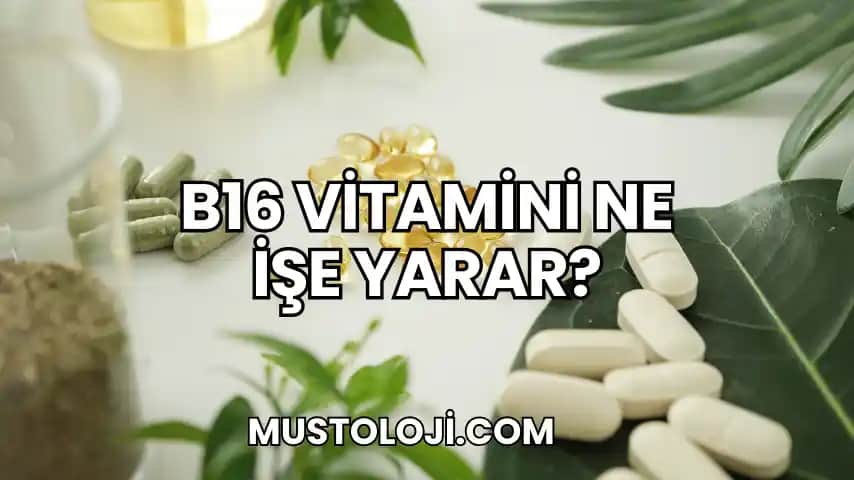 S Vitamini Nedir, Faydaları ve Kozmetik ile Sağlık Üzerindeki Etkileri