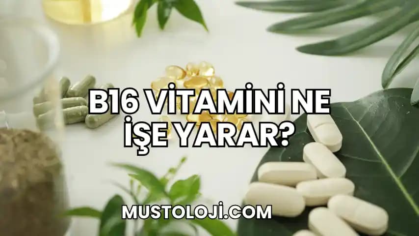 S Vitamini Nedir, Faydaları ve Kozmetik ile Sağlık Üzerindeki Etkileri