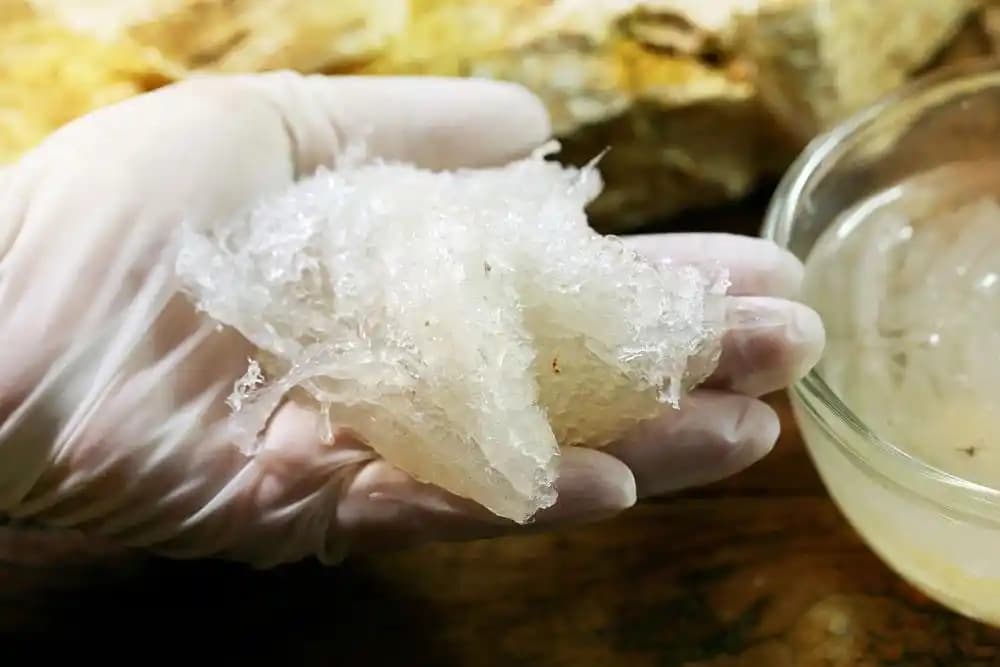 2025'te Saç Dökülmesini Durduran Doğal Yağlarla Mucizevi Bakım