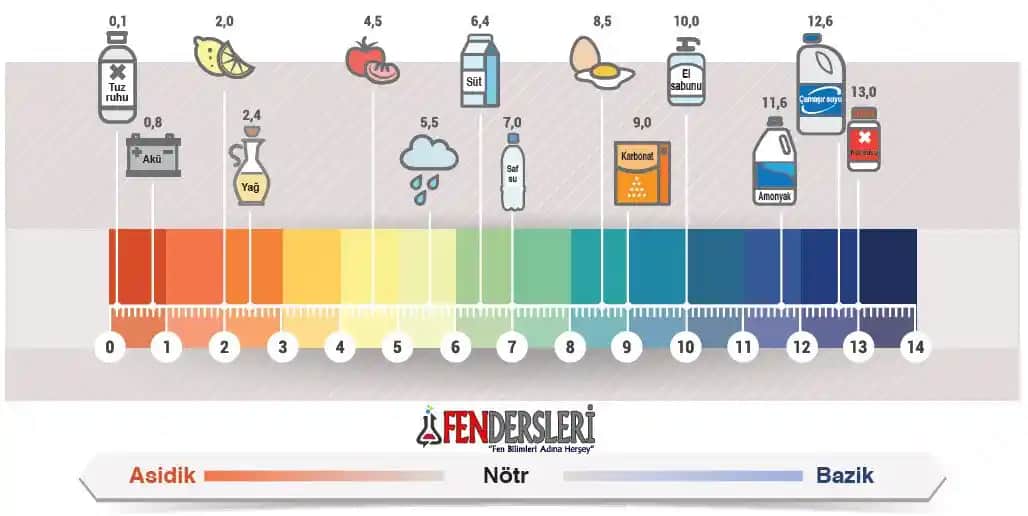 Saç Sağlığı İçin Şampuanların pH Değeri ve Doğru Ürün Seçimi Rehberi