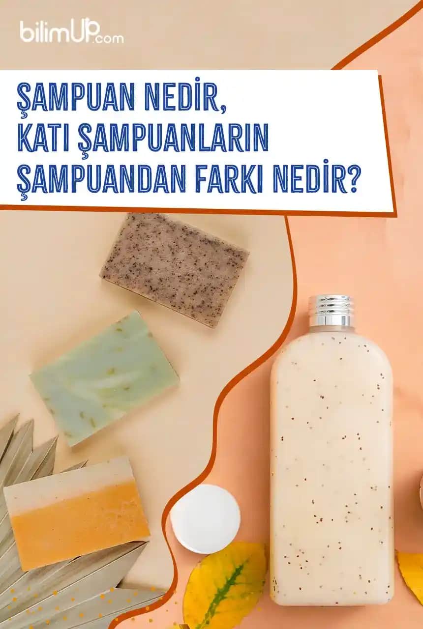 Saç Sağlığını Destekleyen Şampuan Seçimi ve Kullanım İpuçları