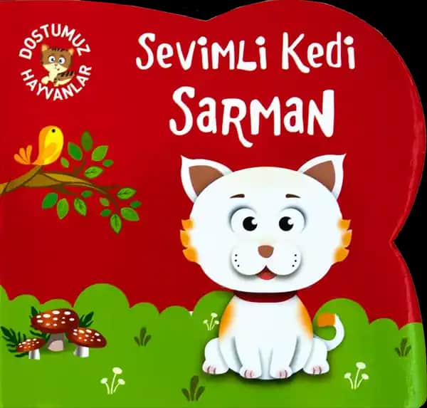 Sarman Kedilerin Özellikleri Bakımı ve Neden Popüler Oldukları Hakkında Detaylı Bilgi