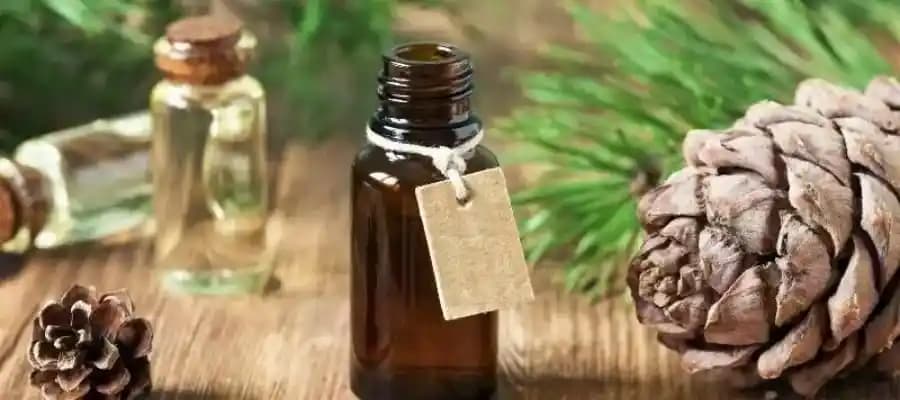 Sedir Ağacı Yağı Kullanımı ve Faydaları Doğal Kozmetik ve Aromaterapi İçin