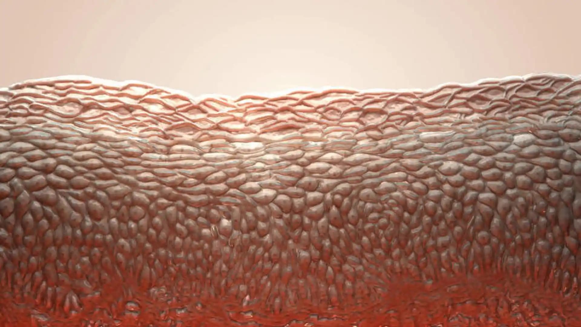 Seramid Nedir Cilt Sağlığında Temel Rolü ve Farklı Türleri Hakkında Bilgi