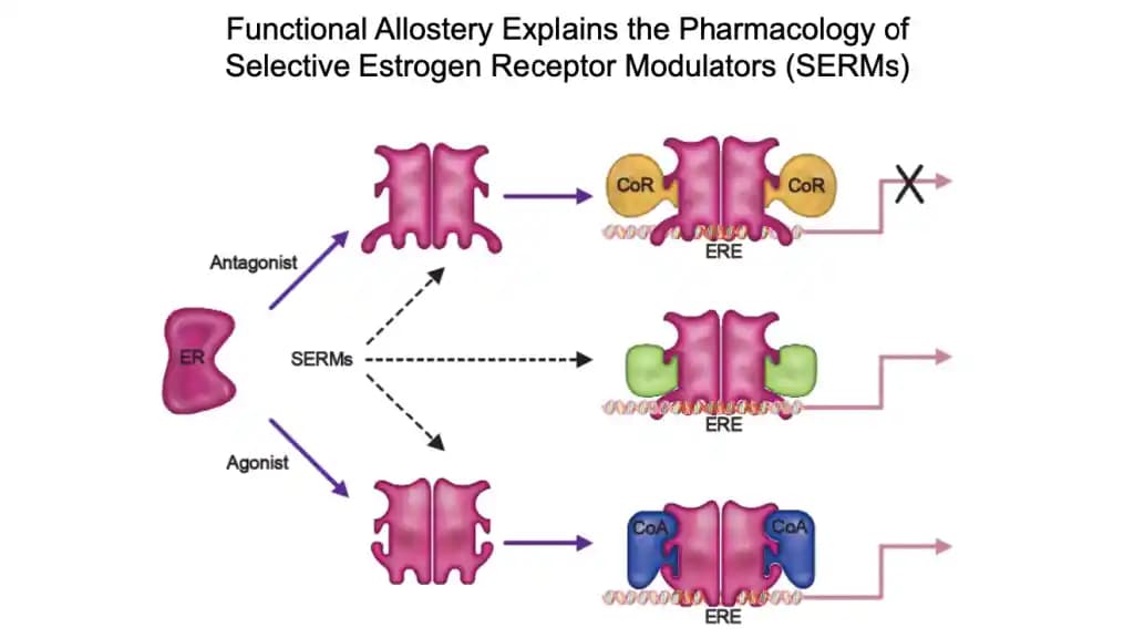 Serum Nedir ve Cilt Bakımında Neden Bu Kadar Önemlidir