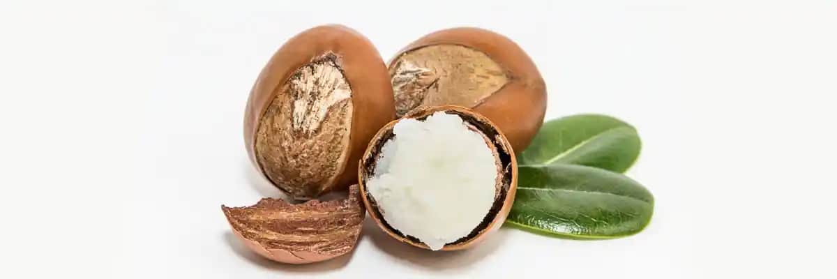 Shea Butter’ın Cilde Faydaları ve Doğal Güzellikteki Rolü