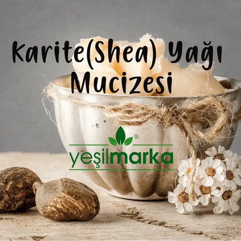 Shea Yağı Nedir, Faydaları ve Kullanımı Hakkında Kapsamlı Bilgi