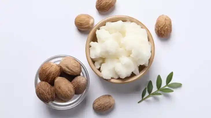 Shea Yağı Nedir ve Kozmetik Alanında Kullanım Fırsatları Hakkında Detaylar