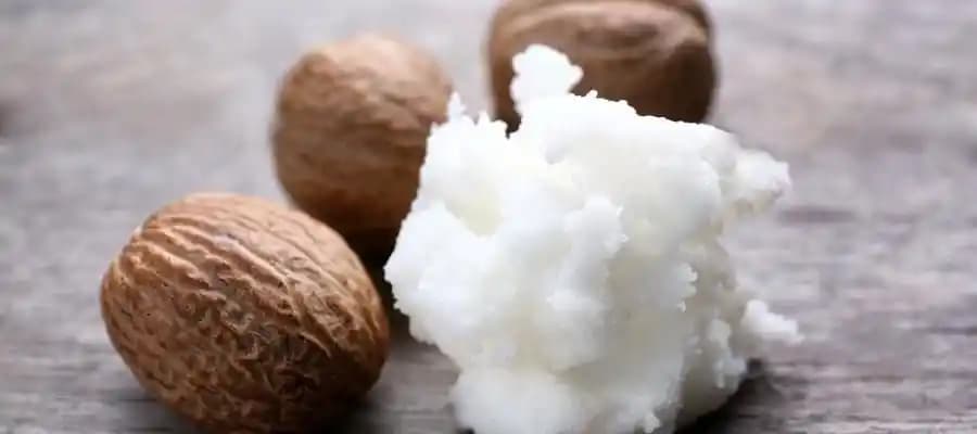 Shea Yağı Nedir ve Kozmetik Dünyasındaki Yeri Hakkında Detaylı Bilgi