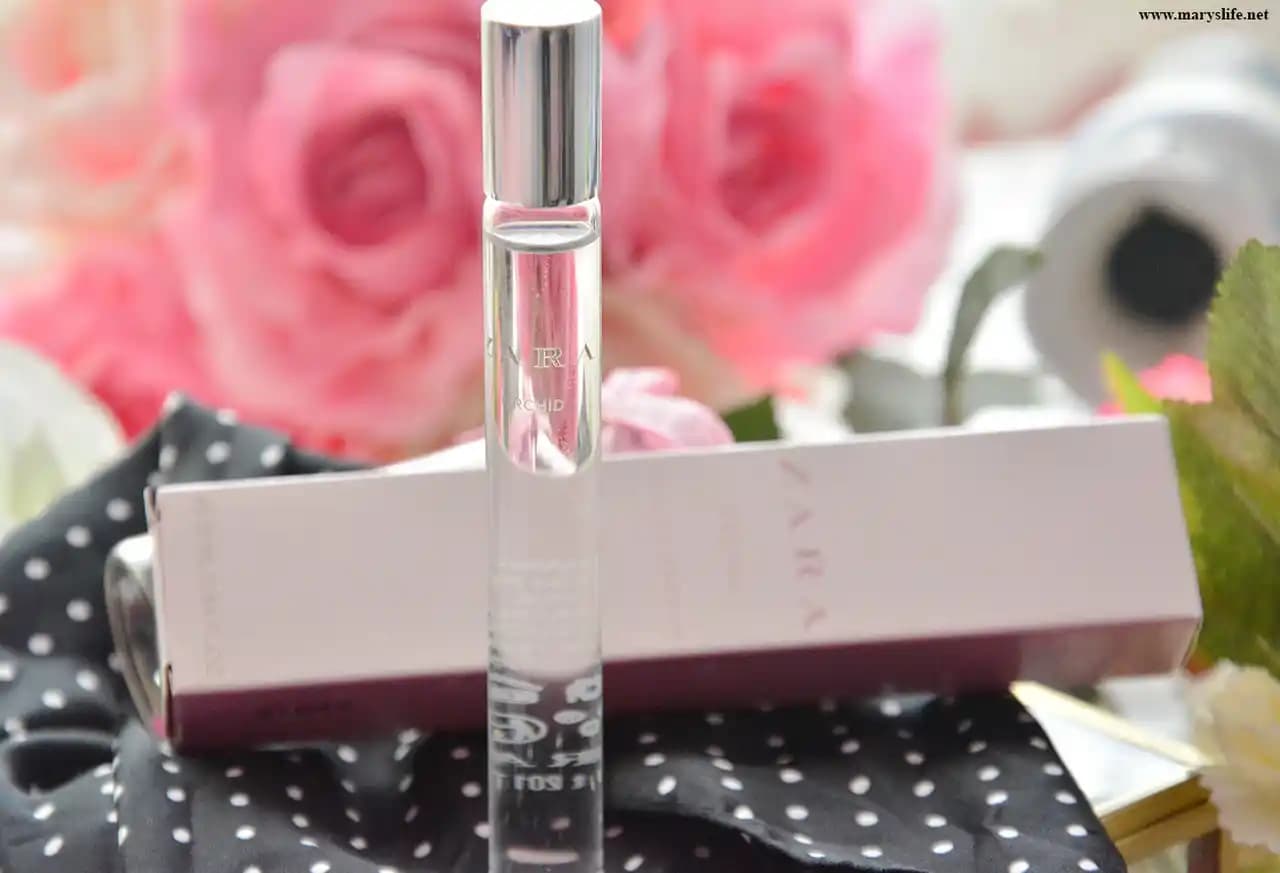 Sağlıklı ve Güvenli Terleme Kontrolü İçin Doğal Roll-On Deodorantlar Rehberi