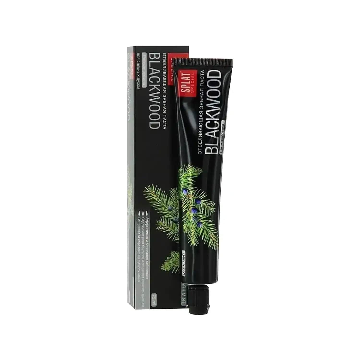 Siyah Diş Macunu Nedir, Faydaları ve Kullanım İpuçları Hakkında Detaylı Bilgi