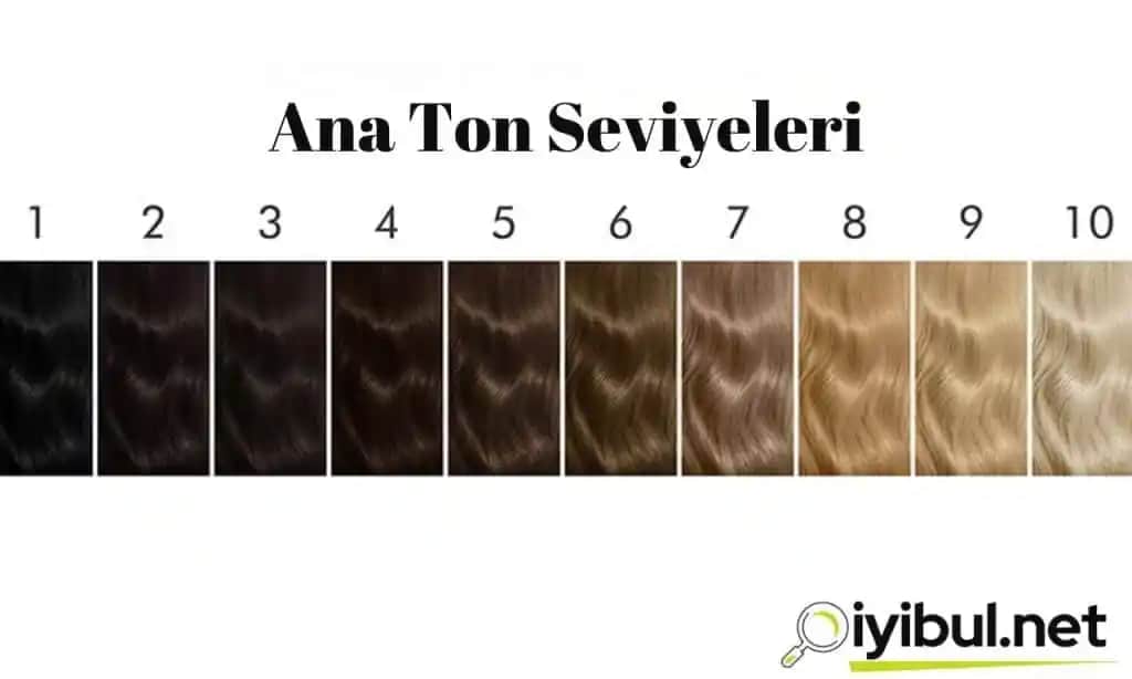 Siyah Saç Boyası Numaraları ve Uygulama İpuçları Rehberi