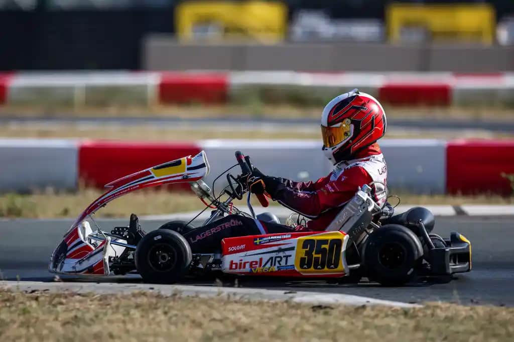 Solgar Marka Değeri ve Ürün Çeşitleri: Sağlık ve Güzellikte Güvenilir Seçenekler