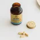 Solgar Vitaminleri ve 65 Yaş Üstü İçin Özel Formülasyonlar Hakkında Bilgi