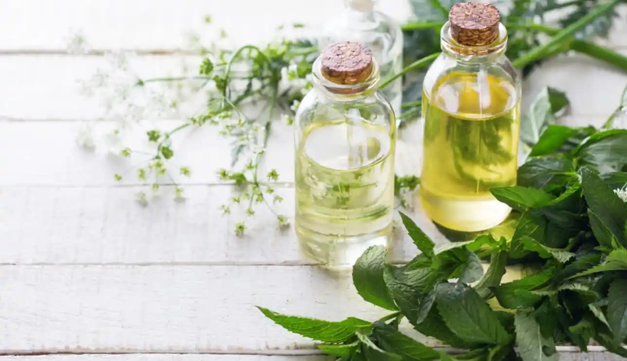 Uçucu Yağlar: Doğal Kozmetik ve Sağlık Uygulamaları İçin Temel Bilgiler