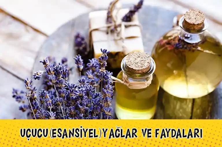 Uçucu Yağlar ve Kozmetik Sektöründeki Yeri: Doğal Güzellik ve Sağlık Kaynağı
